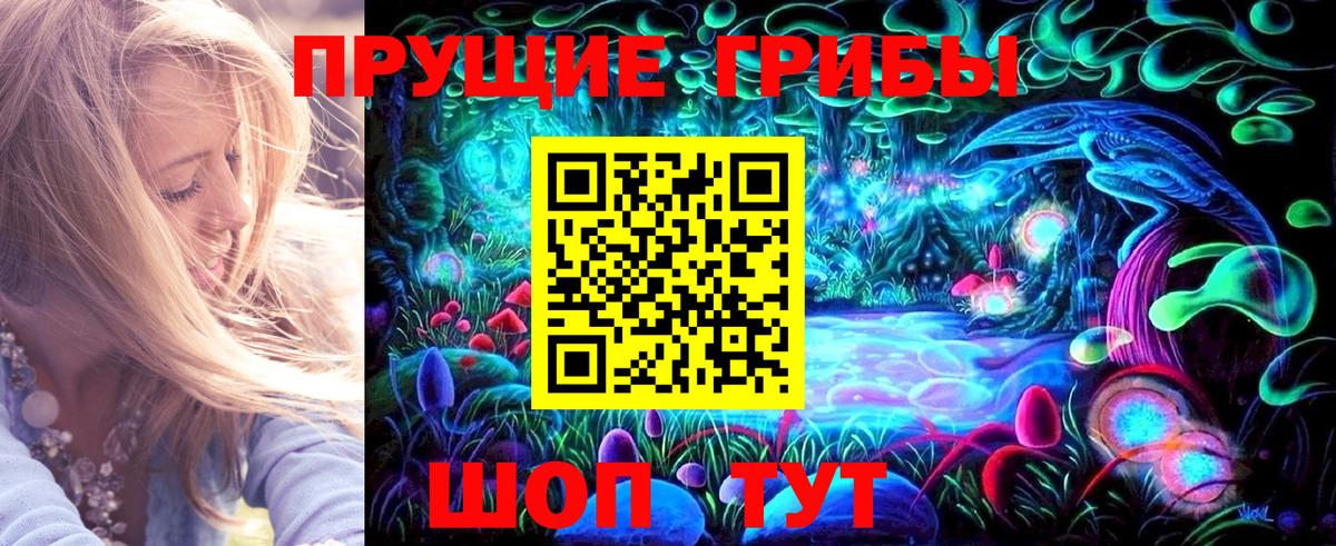 Псилоцибиновые грибы Cubensis Брянск