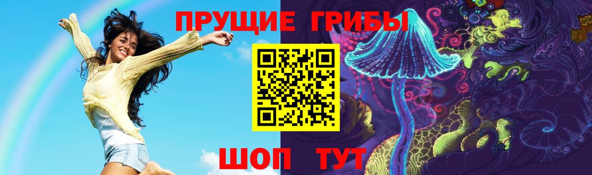 Брянск  Галлюциногенные грибы Magic Shrooms  Вход с VPN 