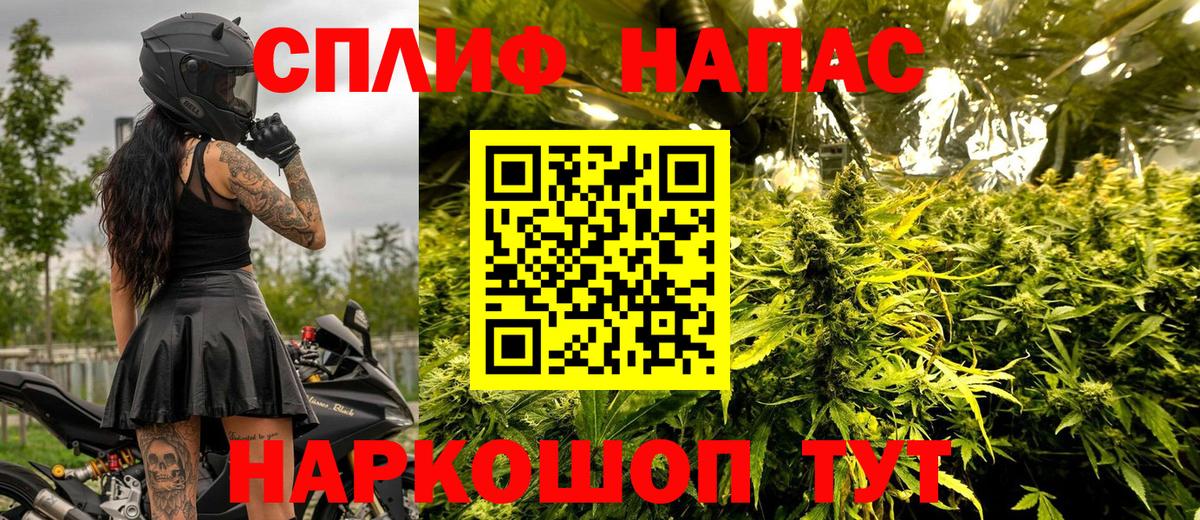 Каннабис Брянск